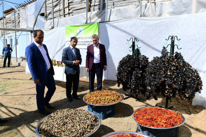 Güneş Enerjili Sera Projemizle, Hizmetlerimizin Boyutunu Büyüteceğiz
