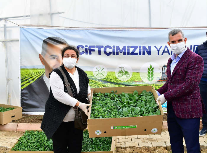 Çiftçilerimize 100 Bin Adet Sebze Fidesi Dağıtıyoruz