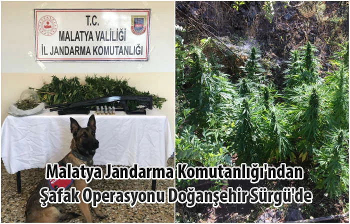 Malatya Jandarma Komutanlığı’ndan  Şafak Operasyonu Doğanşehir Sürgü’de