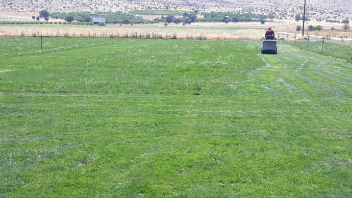 Doğal Çim Üreterek Bütçemizde Tasarruf Yaptık