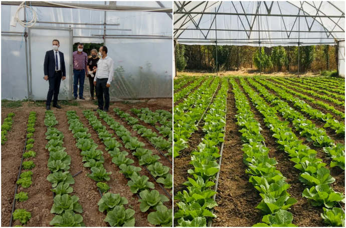 Sofralarımızdaki Doğal Lezzetlerin Sayısını Artırdık