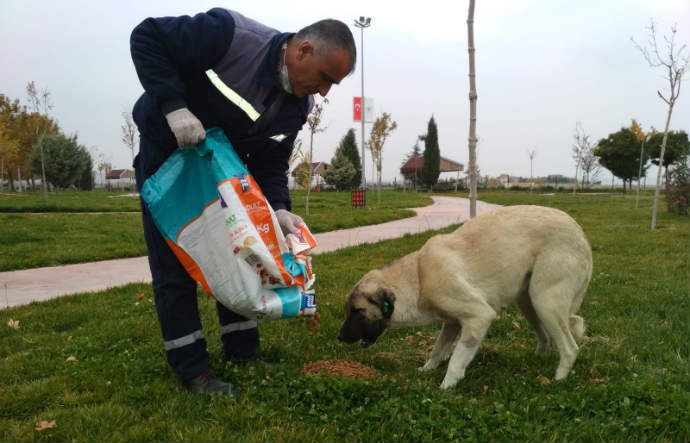 Sokağa çıkma kısıtlamalarında Yeşilyurt’ta ki sokak hayvanları unutulmadı