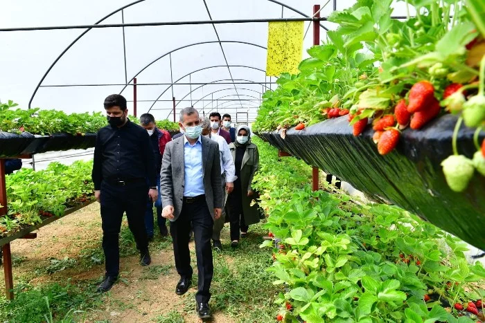 Tarım Belediyeciliğinde Markalaşma Hedefimize Doğru Sağlam Adımlar Atıyoruz