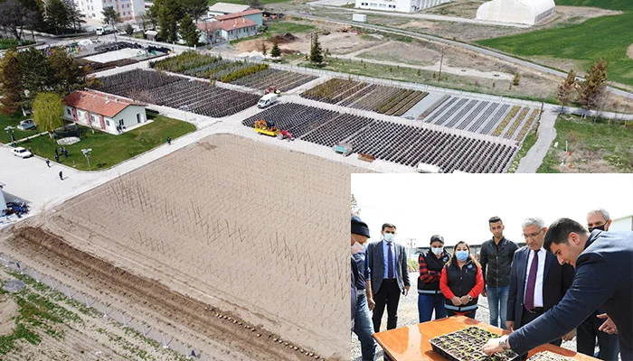 Battalgazi Belediye Başkanı Osman Güder, Özel sera alanında incelemelerde bulundu.