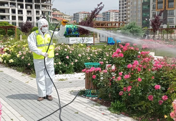Büyükşehir, haşere ile mücadele çalışmalarına hız verdi.