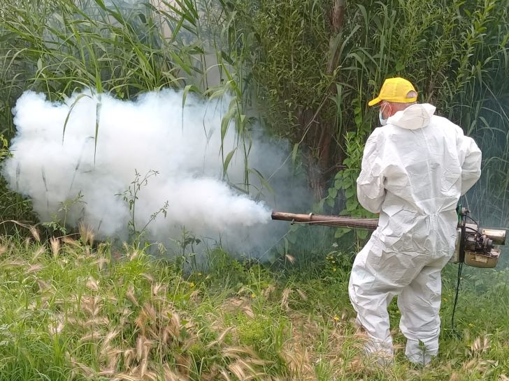 Büyükşehir, hava sıcaklıklarının artmasıyla beraber haşere ile mücadele çalışmalarına hız verdi.