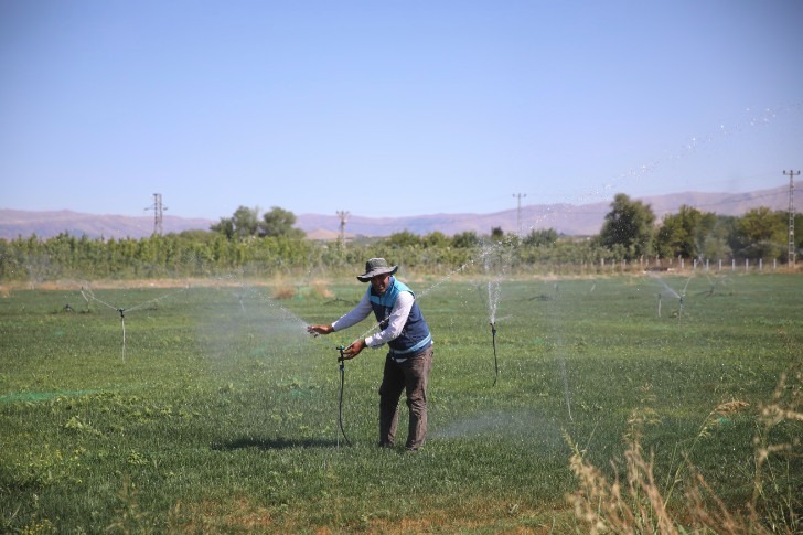 Battalgazi Belediyesi Yerli Üretimle Yeşili Artırıyor: Maliyetler Düşüyor, Şehir Güzelleşiyor