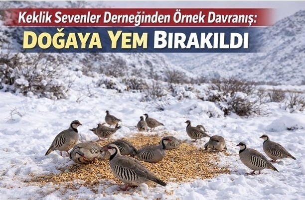 Kar Altındaki Yaban Hayatına “Can Suyu”