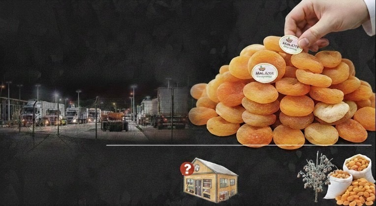 Malatya Kayısısında Asıl Sorun Sınırda Değil, Şehirde: