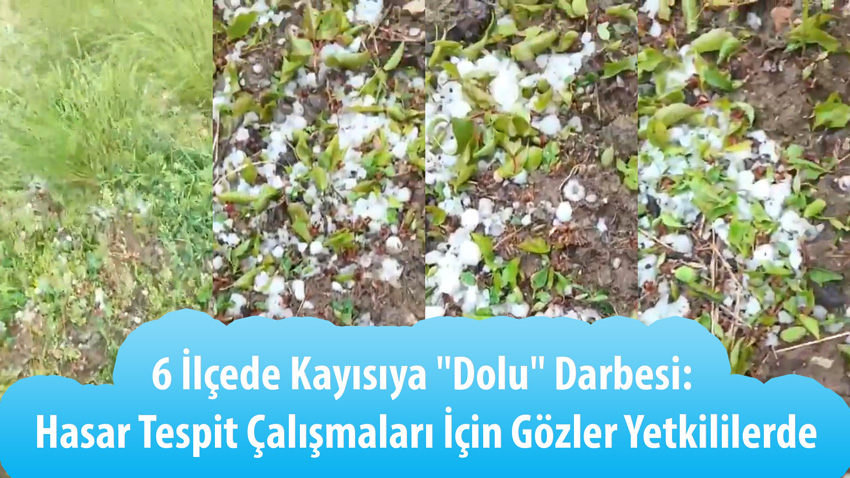 6 İlçede Kayısıya “Dolu” Darbesi: Hasar Tespit Çalışmaları İçin Gözler Yetkililerde