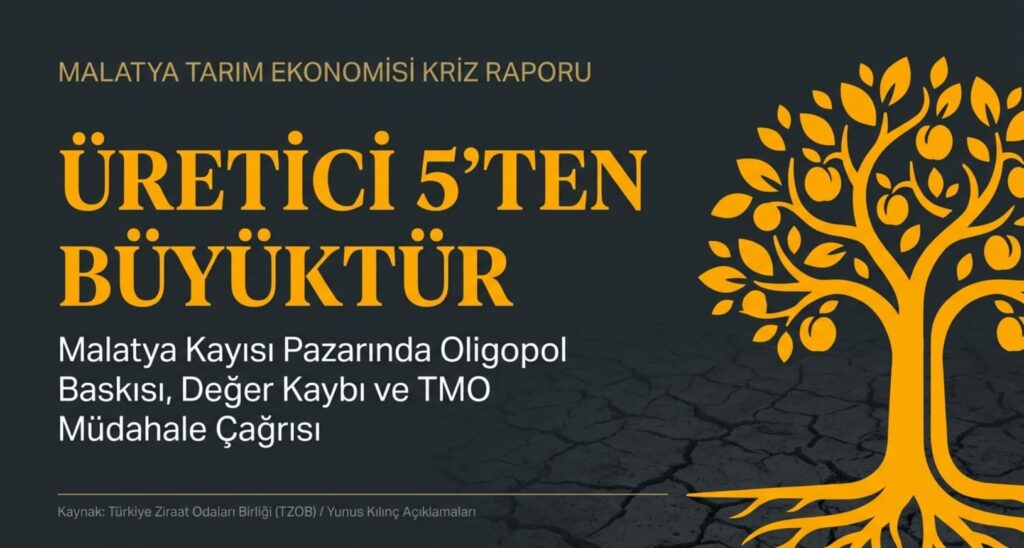 Malatya’da Kayısı Üreticisinden İhracatçıya Sert Tepki: “Kayısı Üreticisi 5’ten Büyüktür!”